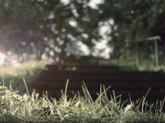 Düşmek, Kalkmak ve Yeniden Başlamak Psikoloji görseli - PsikoGözlük