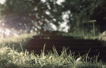 Düşmek, Kalkmak ve Yeniden Başlamak Psikoloji görseli - PsikoGözlük